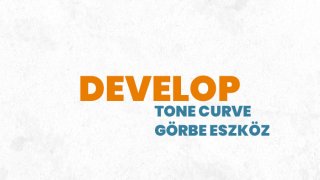 2. Develop - Tone Curve