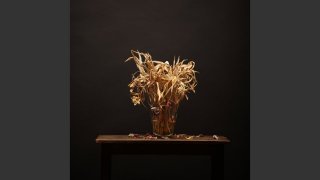 Hetedik lecke - Fotóművészet