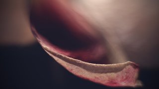 Hatodik lecke - Makrózzunk!